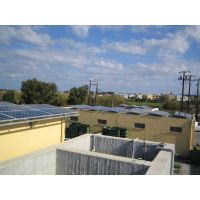 &Delta;ή&mu;&omicron;&sigmaf; &Pi;&epsilon;&tau;&alpha;&lambda;&omicron;ύ&delta;&omega;&nu; &sigma;&tau;&eta;&nu; &Rho;ό&delta;&omicron;