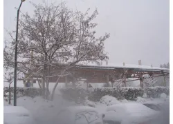 &Phi;/&Beta; &pi;ά&rho;&kappa;&omicron; 20kWp, &Gamma;&omicron;&upsilon;&delta;ί