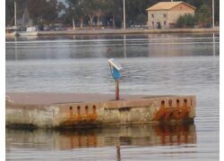 Αυτόνομα φωτοβολταϊκά συστήματα φωτισμού, Λιμάνι Μεσολογγίου