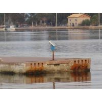 &Alpha;&upsilon;&tau;ό&nu;&omicron;&mu;&alpha; &phi;&omega;&tau;&omicron;&beta;&omicron;&lambda;&tau;&alpha;ϊ&kappa;ά &sigma;&upsilon;&sigma;&tau;ή&mu;&alpha;&tau;&alpha; &phi;&omega;&tau;&iota;&sigma;&mu;&omicron;ύ, &Lambda;&iota;&mu;ά&nu;&iota; &Mu;&epsilon;&sigma;&omicron;&lambda;&omicron;&gamma;&gamma;ί&omicron;&upsilon;