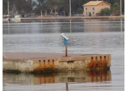 &Alpha;&upsilon;&tau;ό&nu;&omicron;&mu;&alpha; &phi;&omega;&tau;&omicron;&beta;&omicron;&lambda;&tau;&alpha;ϊ&kappa;ά &sigma;&upsilon;&sigma;&tau;ή&mu;&alpha;&tau;&alpha; &phi;&omega;&tau;&iota;&sigma;&mu;&omicron;ύ, &Lambda;&iota;&mu;ά&nu;&iota; &Mu;&epsilon;&sigma;&omicron;&lambda;&omicron;&gamma;&gamma;ί&omicron;&upsilon;